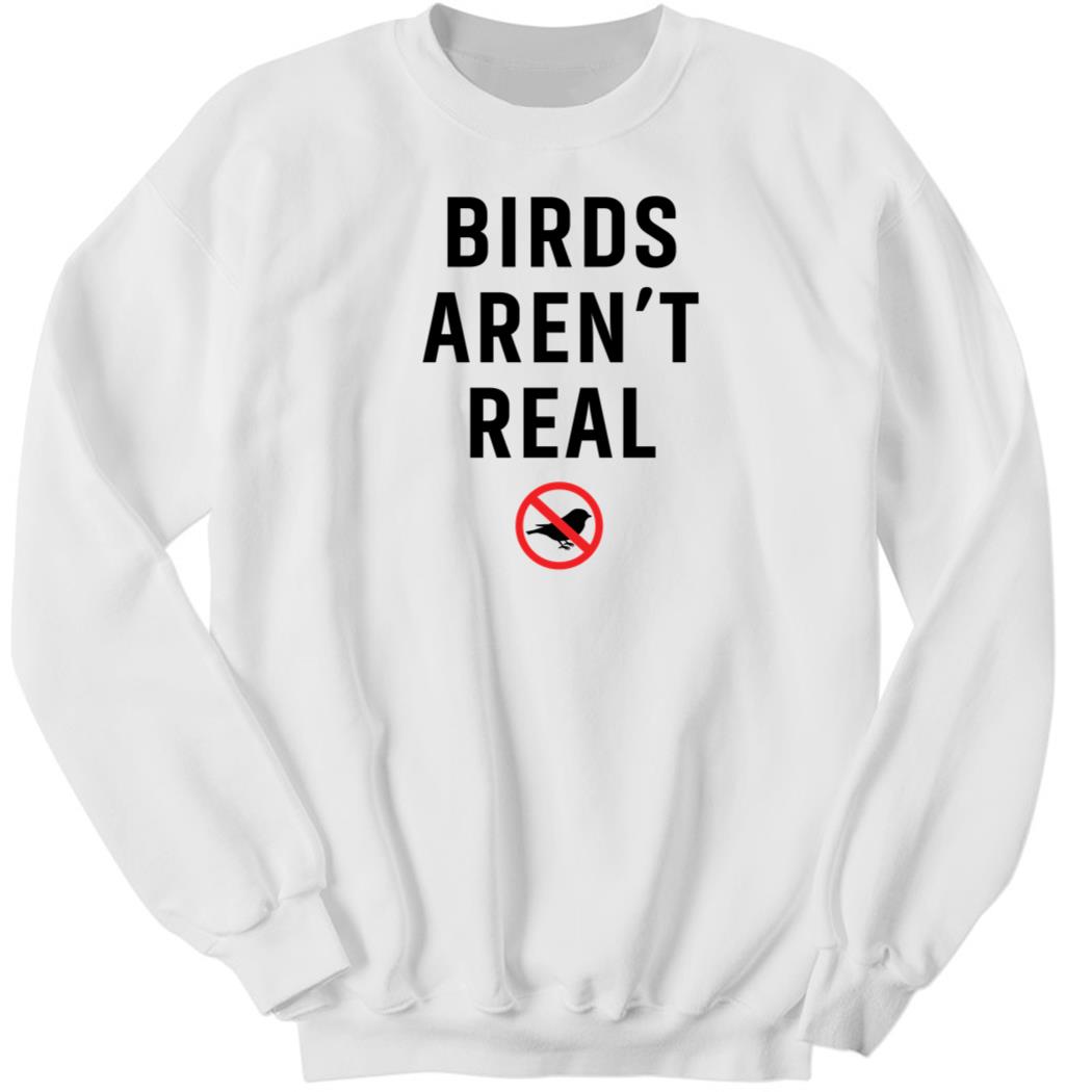 Birds Arent Real 3 1.jpg