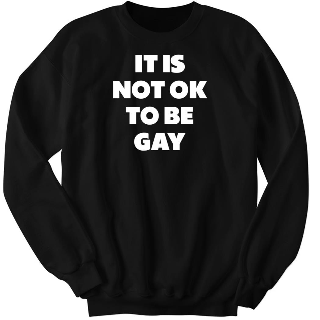 It Is Not Ok To Be Gay New 3 1.jpg