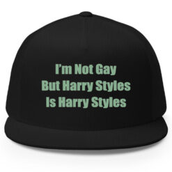 Im Not Gay But Harry Styles Is Harry Styles Hat